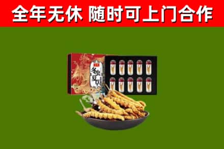 德清回收冬虫夏草价格